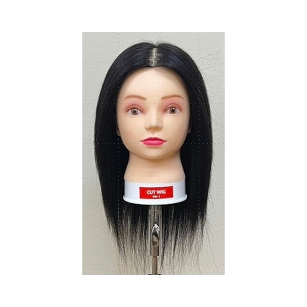 ｶｯﾄｳｨｯｸﾞ PW-1 2台SET