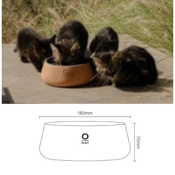 ◇OWAY IMPRONTA（直送商品）