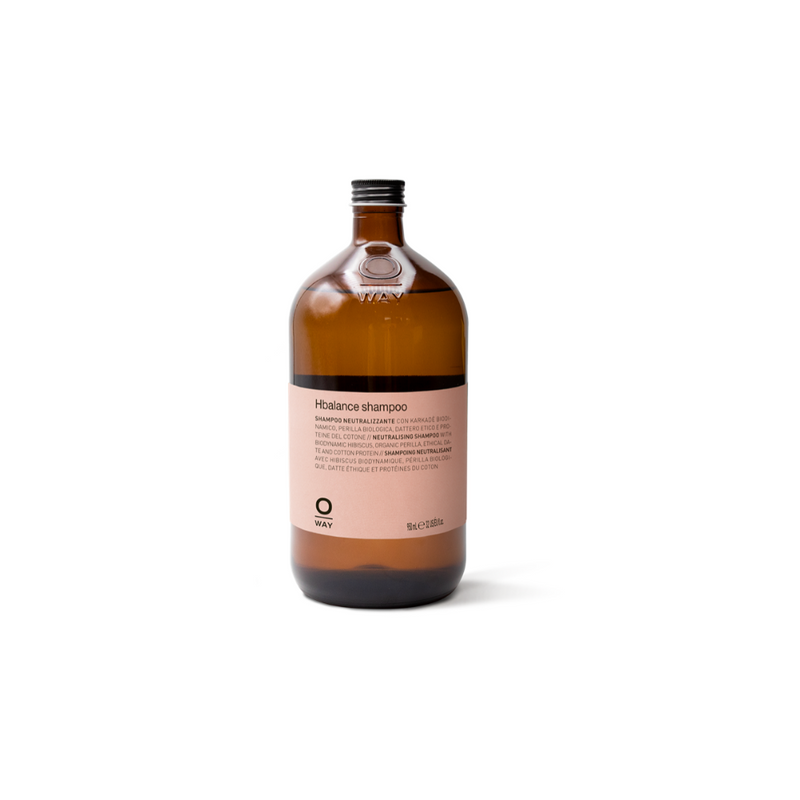 Hﾊﾞﾗﾝｽｼｬﾝﾌﾟｰ 950ml(Hﾊﾞﾗﾝｽ)