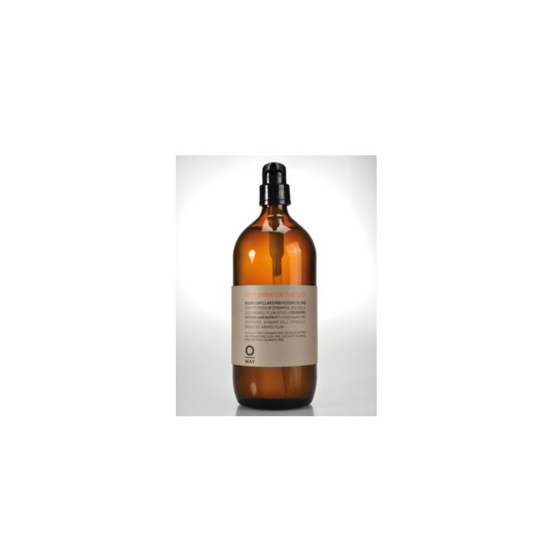 ｶﾗｰﾌﾟﾛﾃｸｼｮﾝﾍｱﾊﾞｽ 950ml