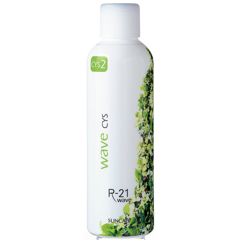 (N)R-21ｳｪｰﾌﾞ CYS 2液 400ml(ｳｪｰﾌﾞ)